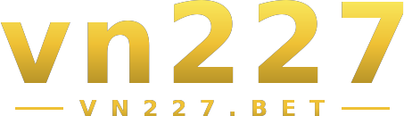 vn227 logo